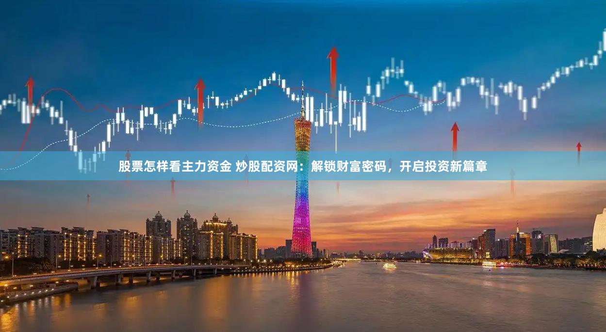 股票怎样看主力资金 炒股配资网：解锁财富密码，开启投资新篇章