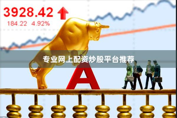 专业网上配资炒股平台推荐